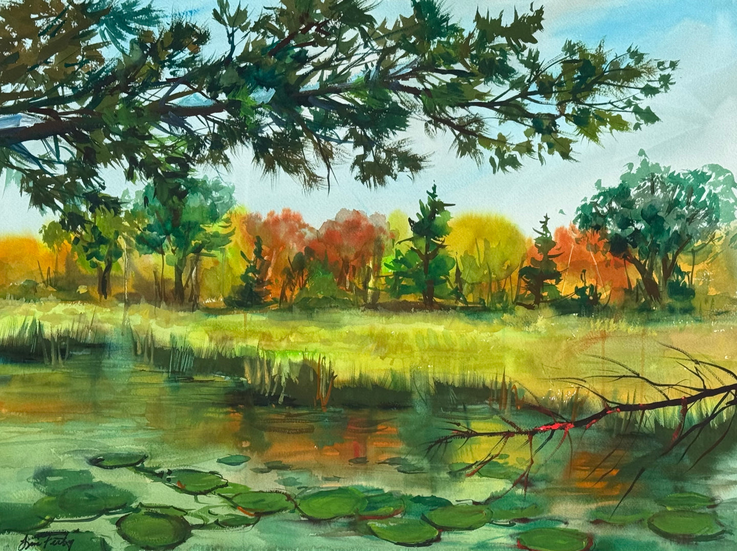 Northern Minnesota in the Fall