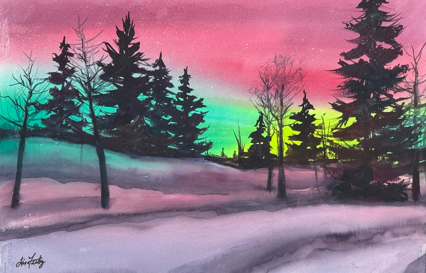 Upnorth Northern Lights