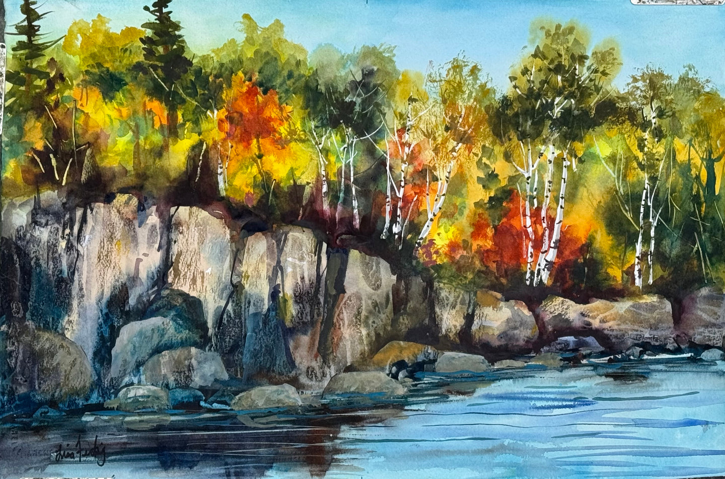 Shoreline Up North in Minnesota