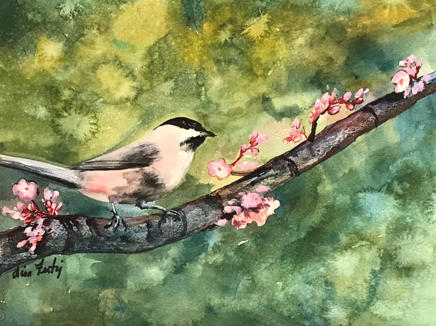 Chickadee Bird on a Branch