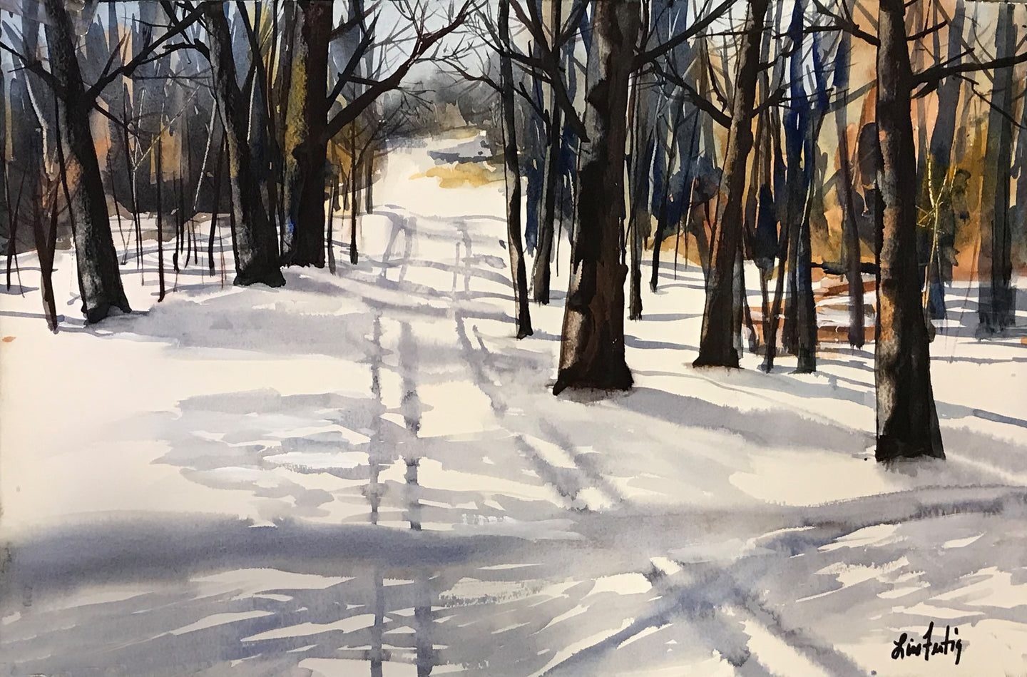 Cross Country Skiing in the Woods