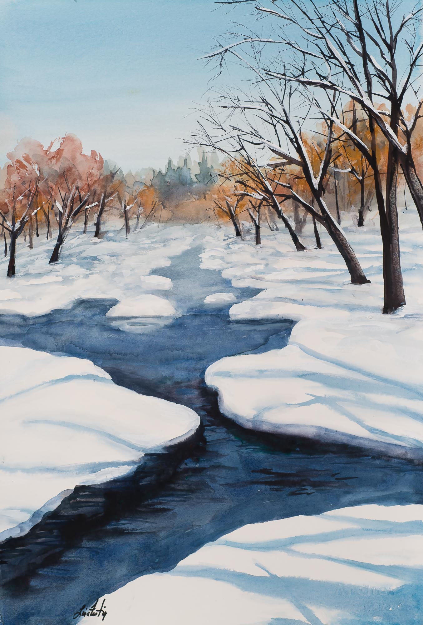 River in the Woods