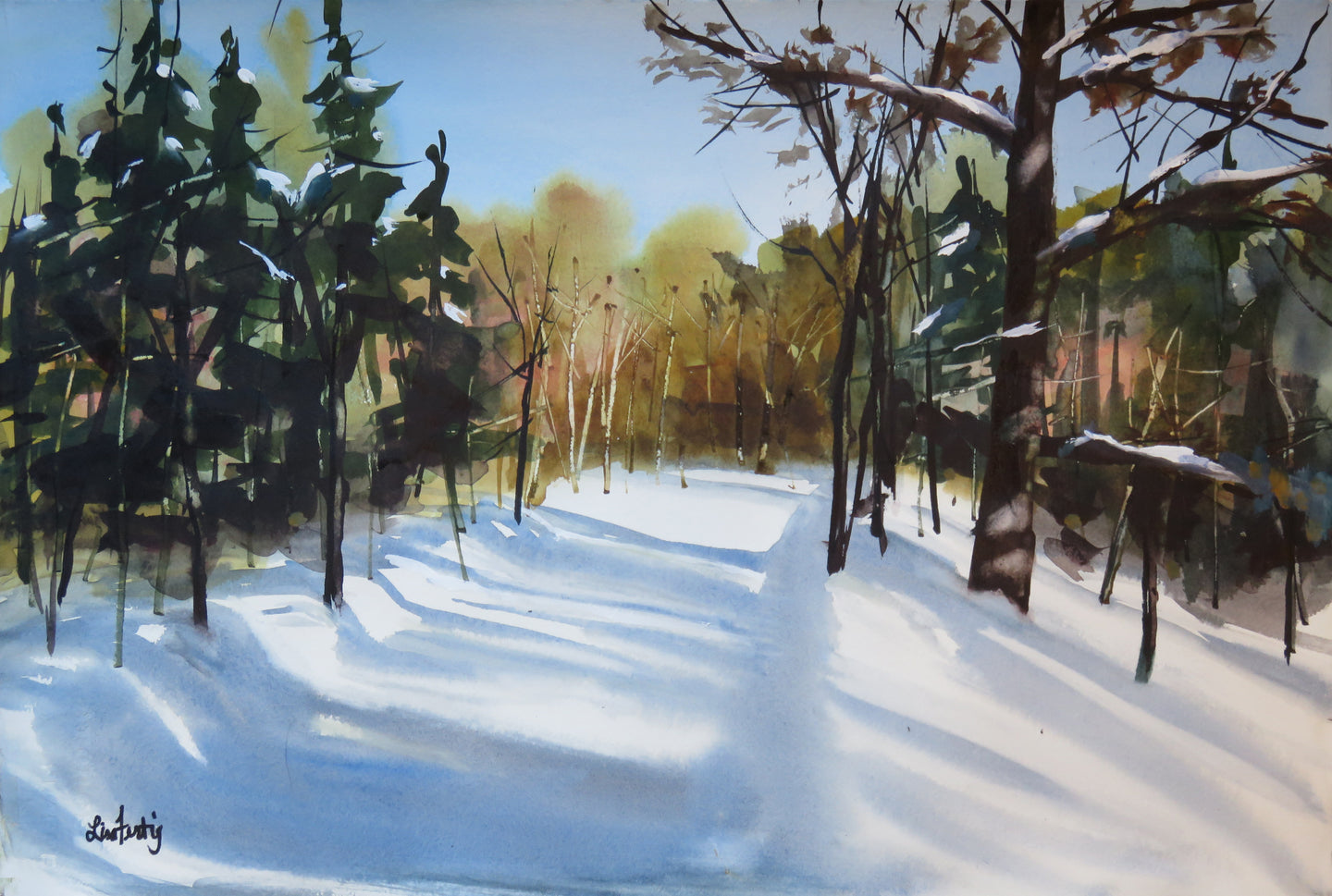 Shadows on the Snowy Path