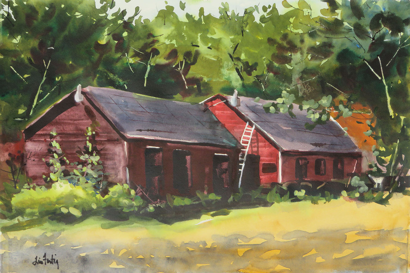 Garden Sheds