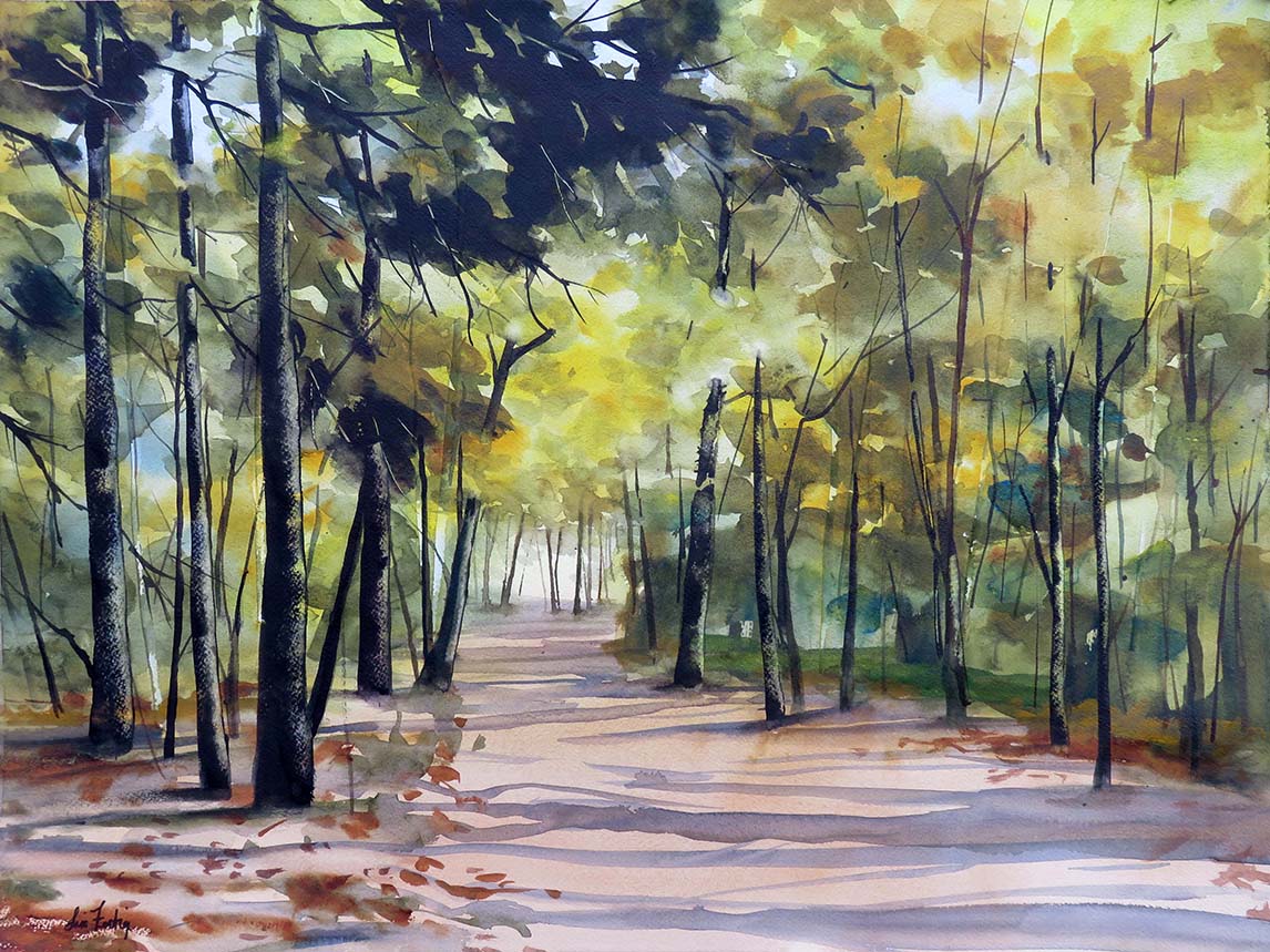 Warm Day in the Woods