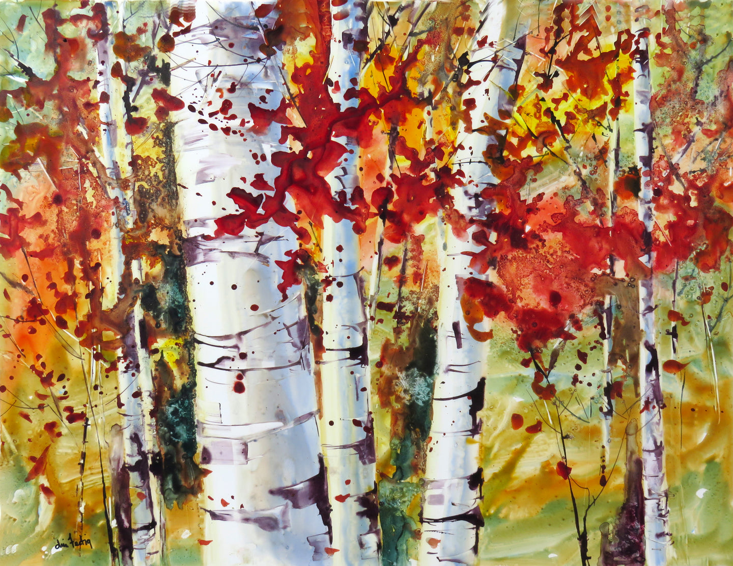 Fall Colors on the Birches