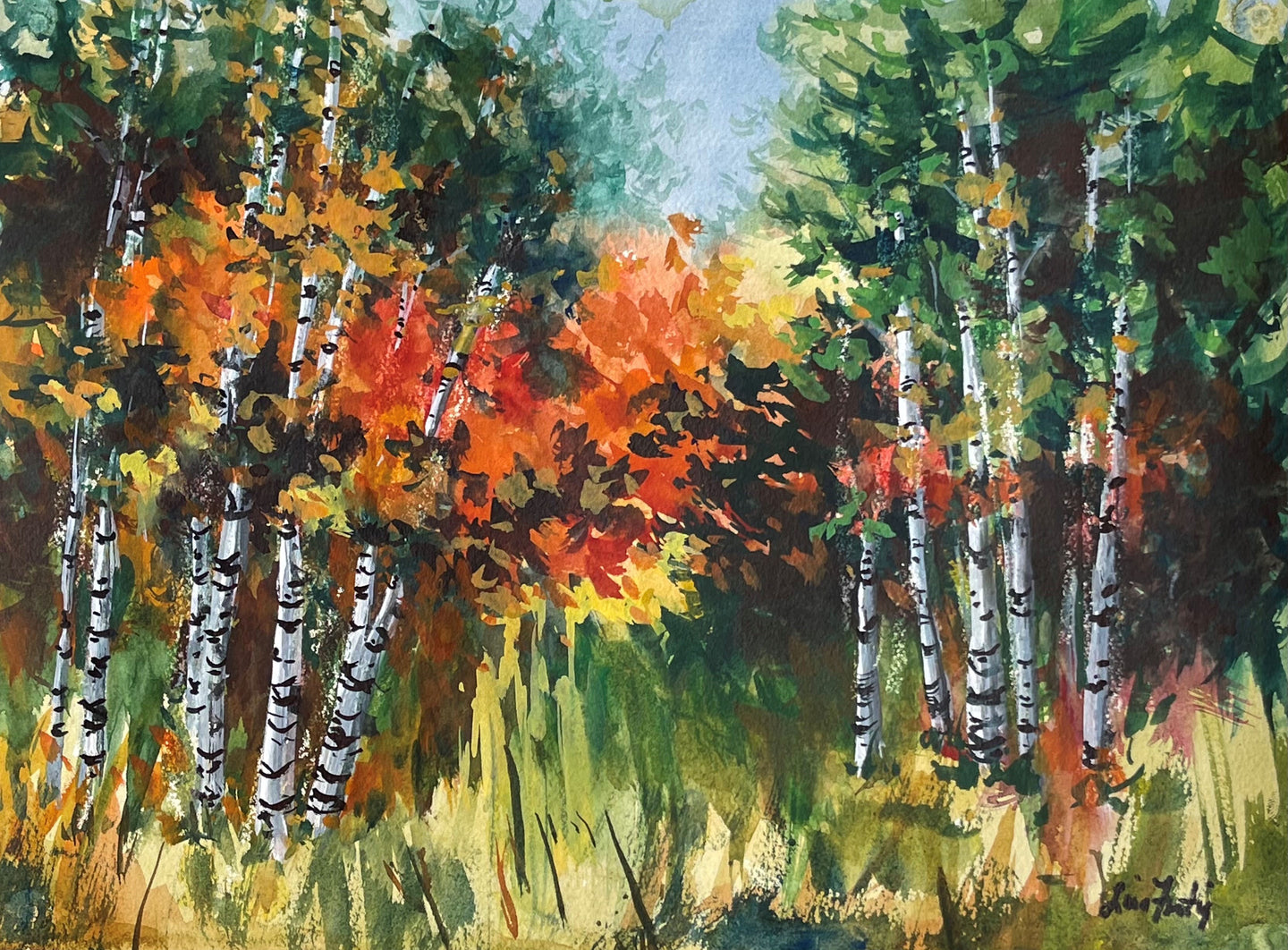 Birch Trees with Fall Colors