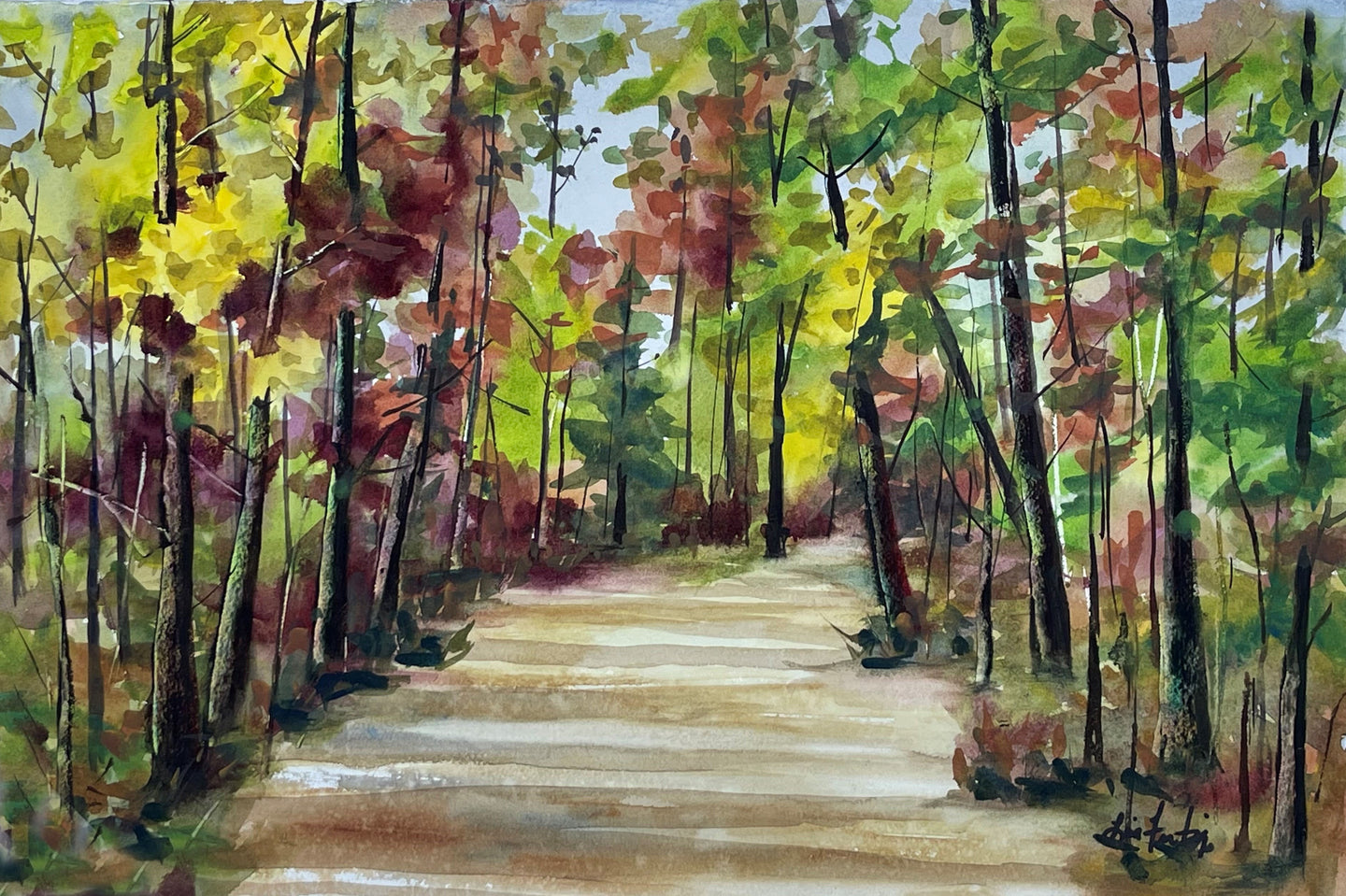 Walk in the Colorful Woods
