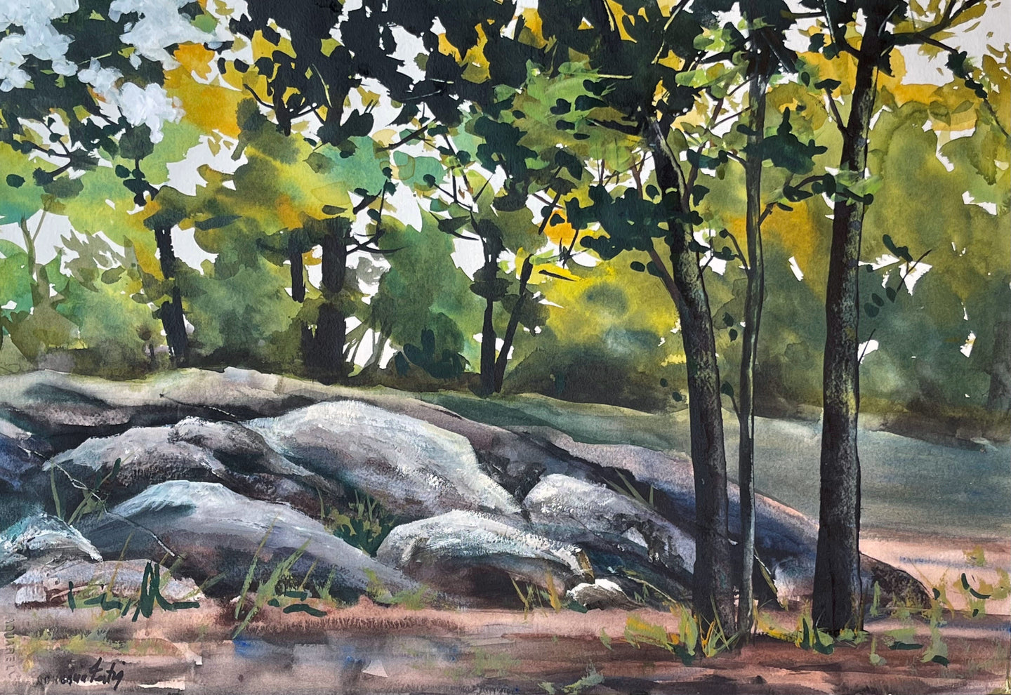 Rocky Path in the Woods