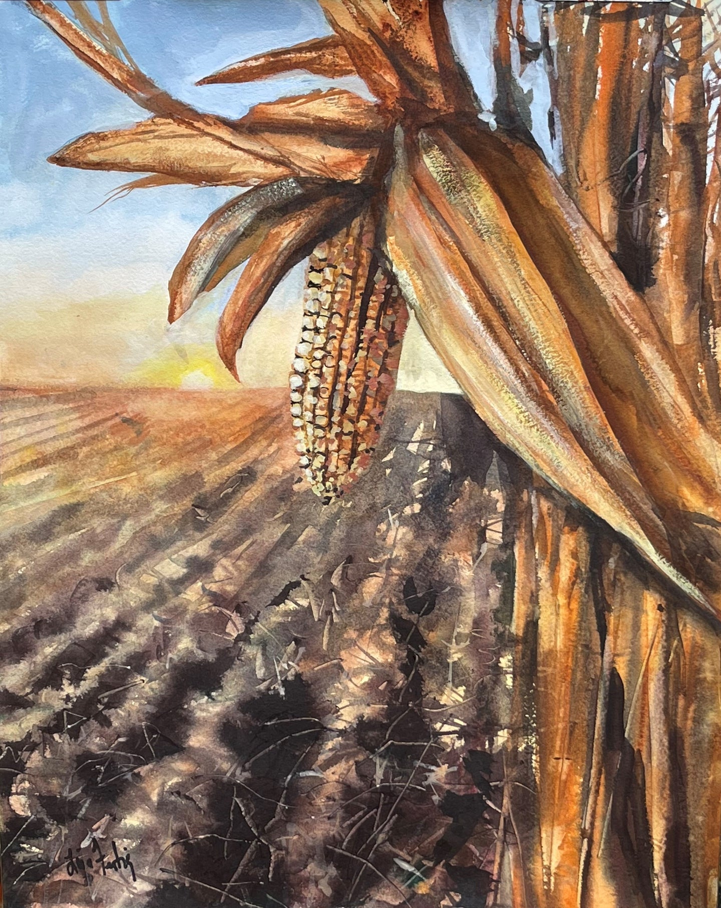 Corn Husk