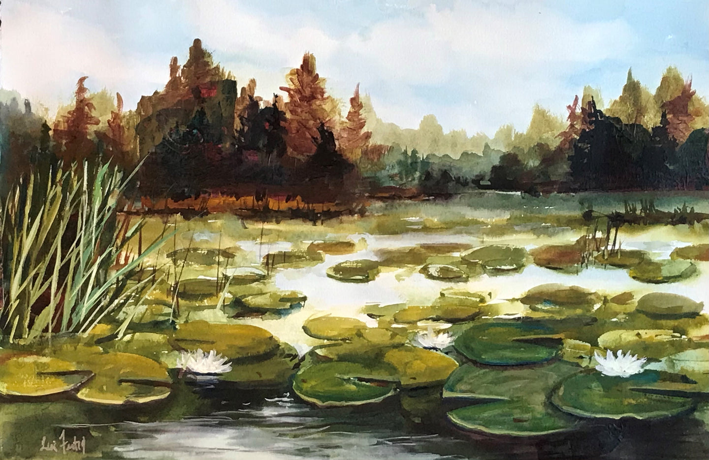 Lilly Pond
