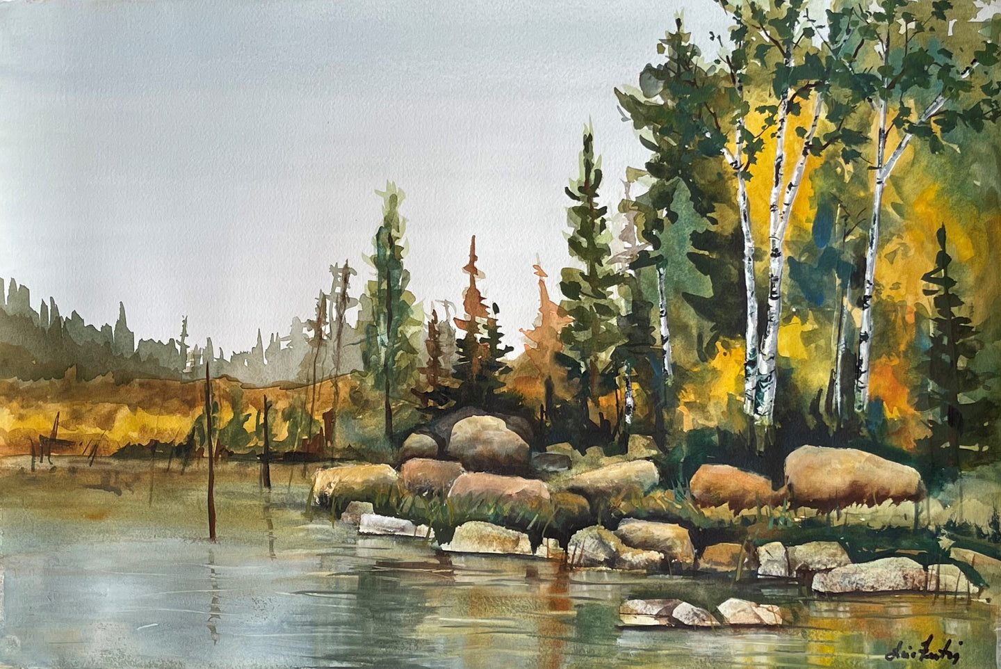 Fall Birch Northwoods